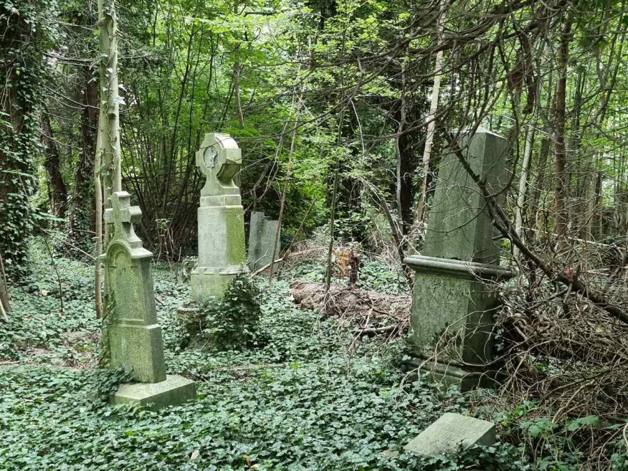 Kolebka historii Bielska. Nieczynna nekropolia to enklawa dzikiej przyrody ZDJĘCIA