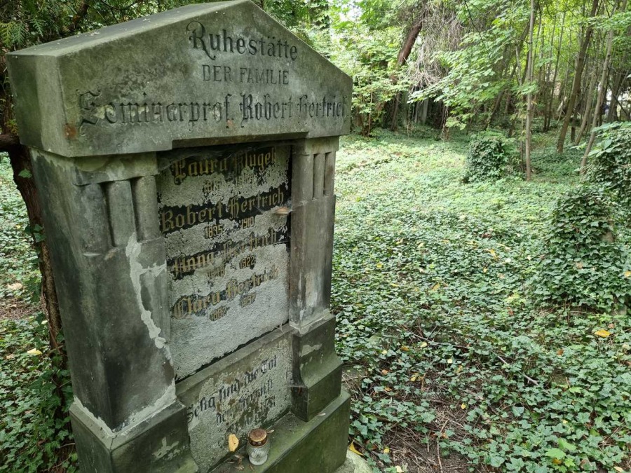 Kolebka historii Bielska. Nieczynna nekropolia to enklawa dzikiej przyrody ZDJĘCIA