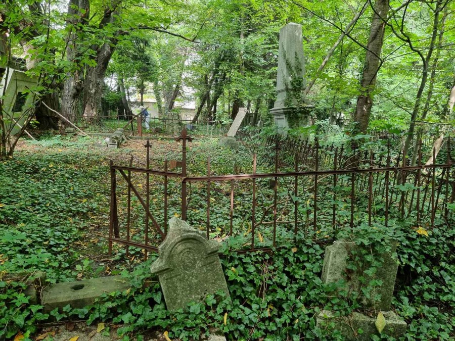 Kolebka historii Bielska. Nieczynna nekropolia to enklawa dzikiej przyrody ZDJĘCIA