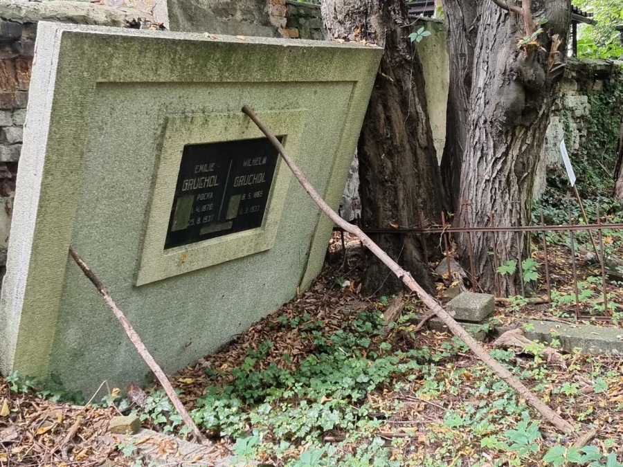 Kolebka historii Bielska. Nieczynna nekropolia to enklawa dzikiej przyrody ZDJĘCIA