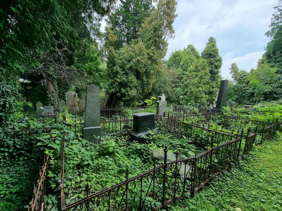 Kolebka historii Bielska. Nieczynna nekropolia to enklawa dzikiej przyrody ZDJĘCIA