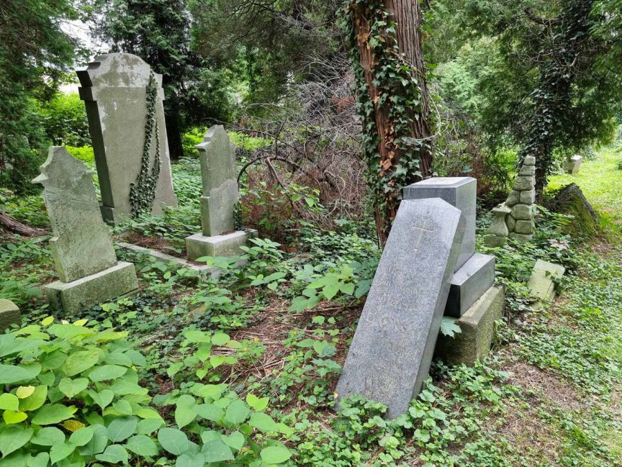 Kolebka historii Bielska. Nieczynna nekropolia to enklawa dzikiej przyrody ZDJĘCIA