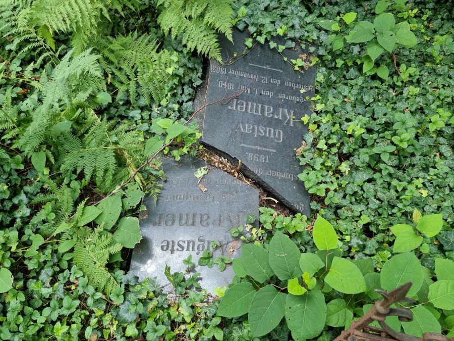 Kolebka historii Bielska. Nieczynna nekropolia to enklawa dzikiej przyrody ZDJĘCIA