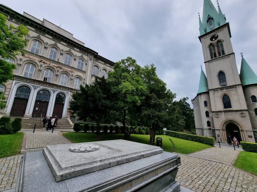 Kolebka historii Bielska. Nieczynna nekropolia to enklawa dzikiej przyrody ZDJĘCIA
