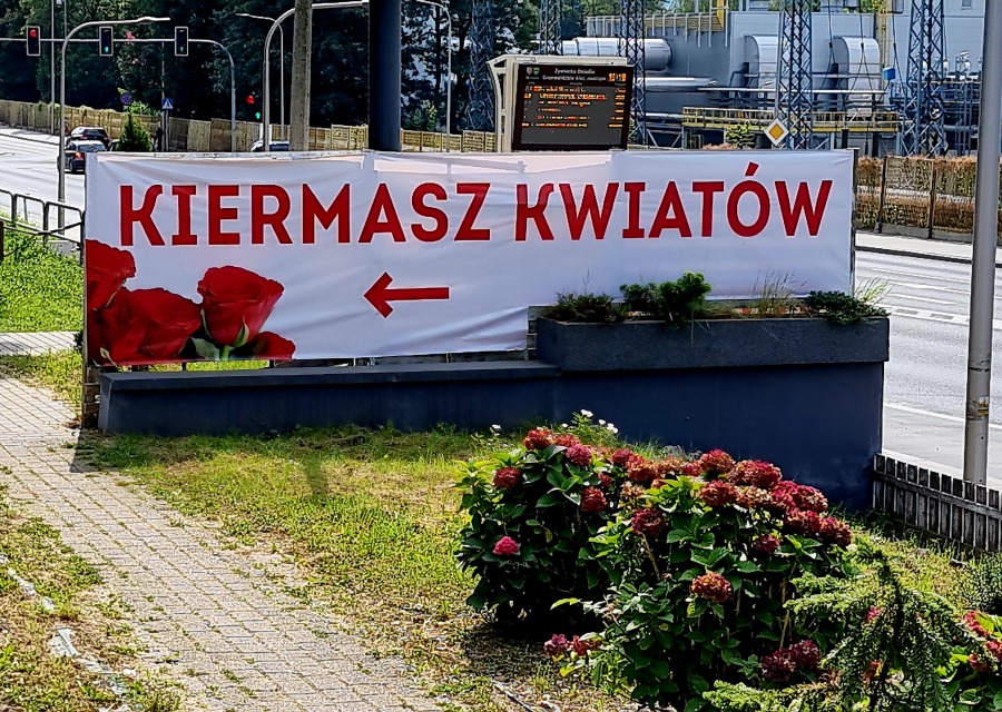 Wrześniowy kiermasz kwiatowy w królestwie kwiatów Diana