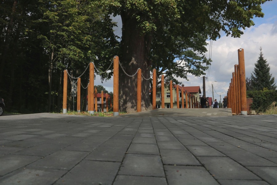 Podwieszane chodniki w Cygańskim Lesie. Kostka brukowa przepuszcza wodę jak gąbka - foto