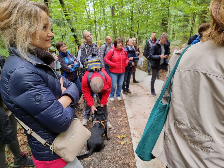 Nienaturalna roślinność w Cygańskim Lesie. Wyjątkowe okazy mogą żyć ponad tysiąc lat! ZDJĘCIA