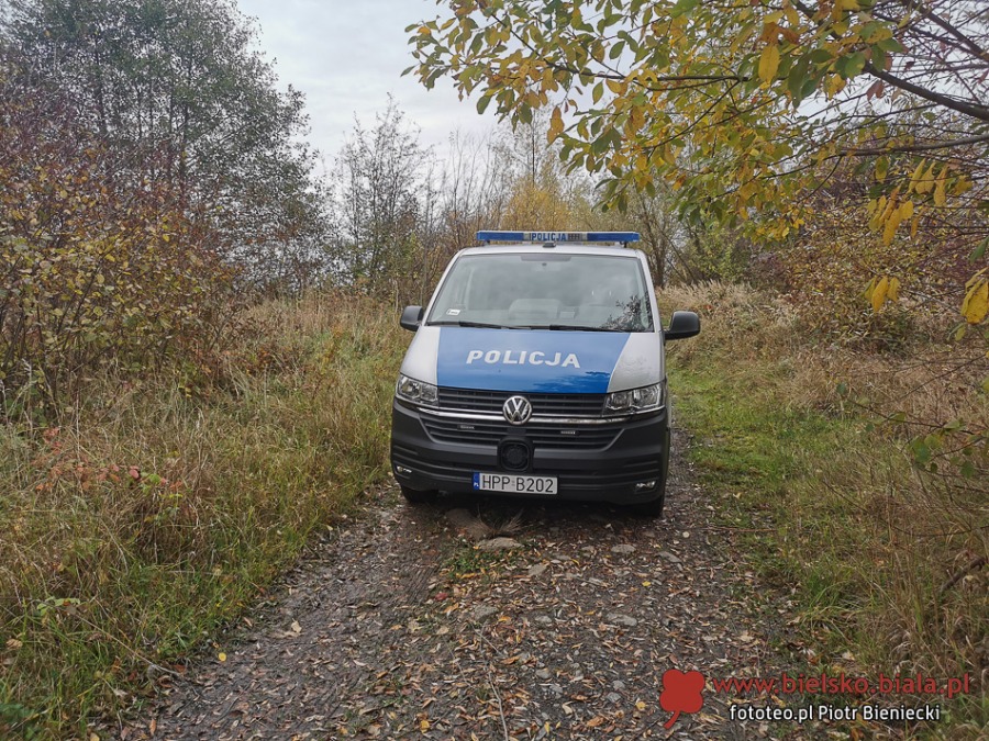 Ruszyły maszyny do mielenia roślinności. Akcja obrońców przyrody ZDJĘCIA