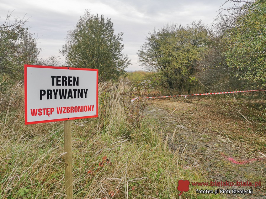 Ruszyły maszyny do mielenia roślinności. Akcja obrońców przyrody ZDJĘCIA