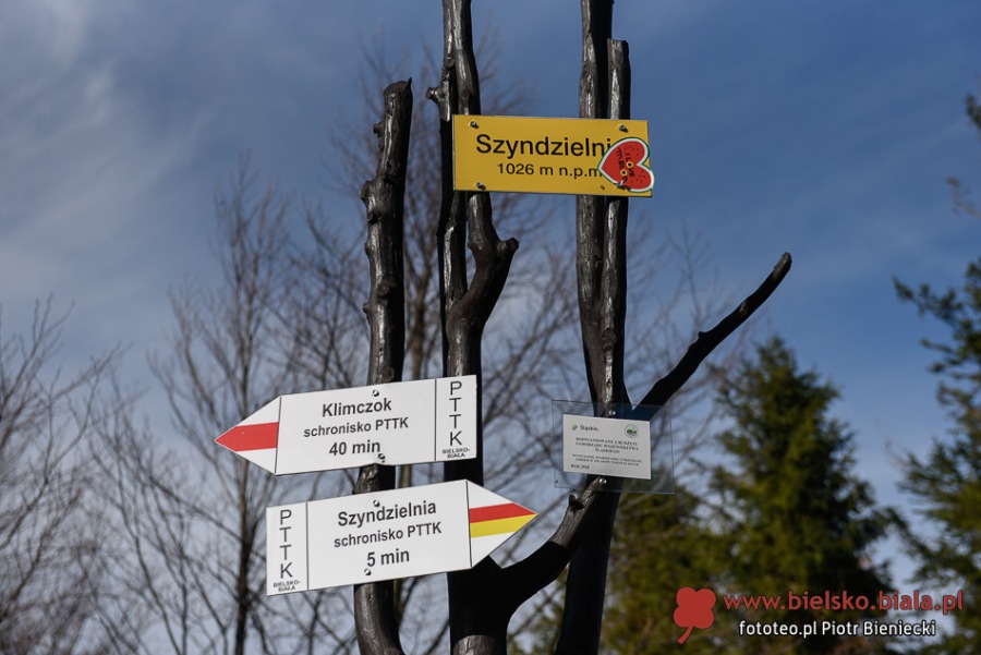 Tłumy na szlakach na Szyndzielnię i Klimczok. Widoki olśniewały! ZDJĘCIA