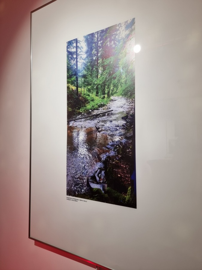 Tłok w Punkcie 11. Nagrody dla fotografów amatorów za świetne zdjęcia ZDJĘCIA