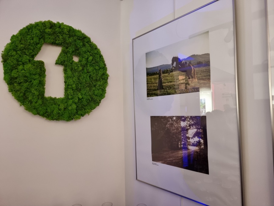 Tłok w Punkcie 11. Nagrody dla fotografów amatorów za świetne zdjęcia ZDJĘCIA