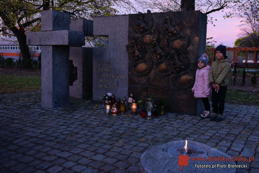 Bielsko-Biała dla Niepodległej. Obchody uroczyste i mniej oficjalne ZDJĘCIA