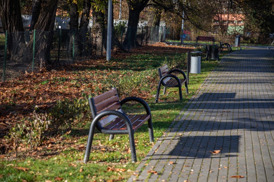 Nowe nasadzenia drzew i krzewów ozdobnych na osiedlach. Wiosną będzie tutaj cudnie! - foto
