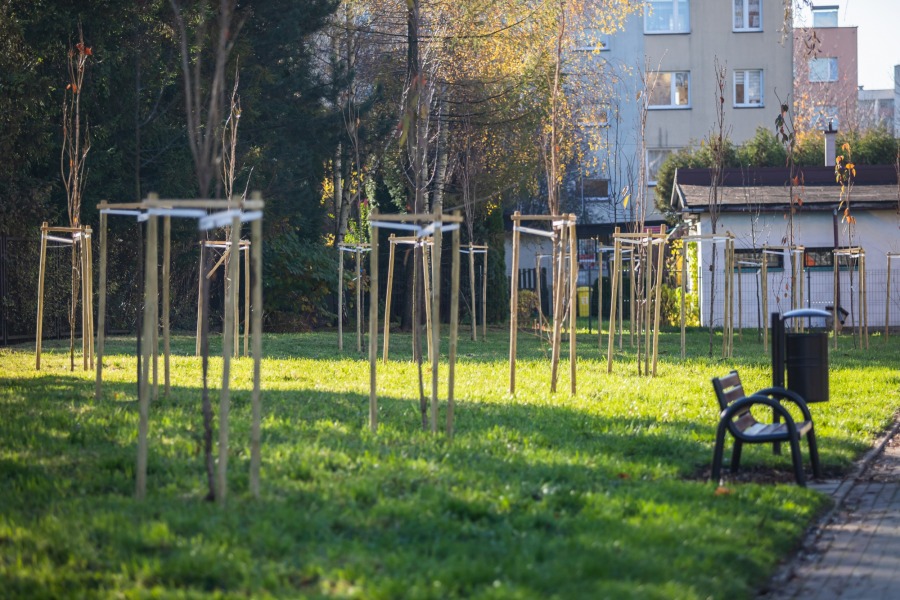 Nowe nasadzenia drzew i krzewów ozdobnych na osiedlach. Wiosną będzie tutaj cudnie! - foto