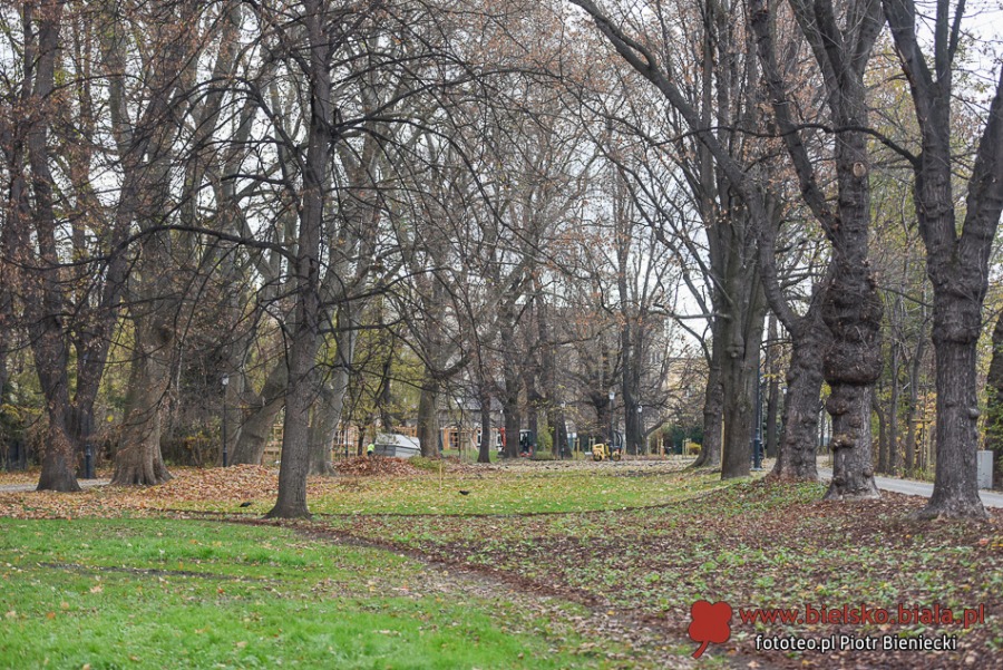 Park Włókniarzy otwarty po rewitalizacji. Duże zmiany na placu Mickiewicza ZDJĘCIA