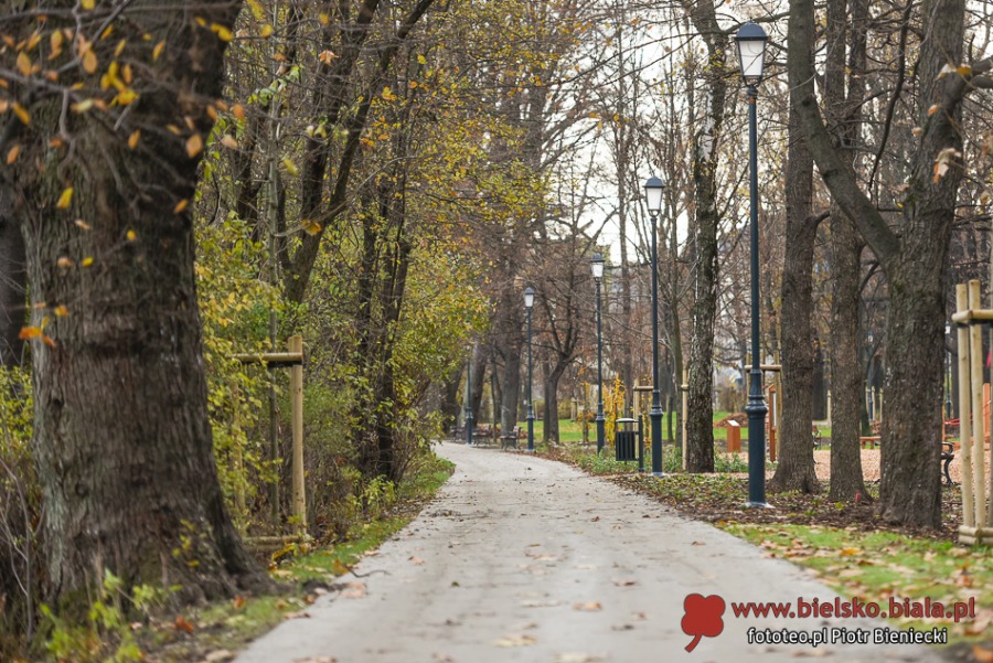 Park Włókniarzy otwarty po rewitalizacji. Duże zmiany na placu Mickiewicza ZDJĘCIA