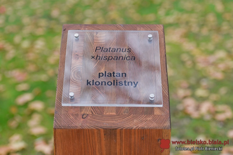 Park Włókniarzy otwarty po rewitalizacji. Duże zmiany na placu Mickiewicza ZDJĘCIA