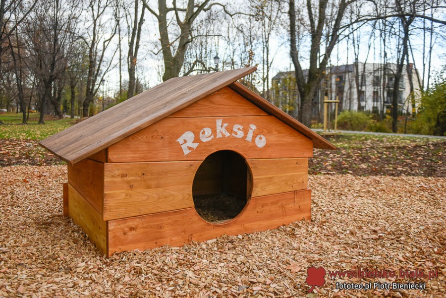 Park Włókniarzy otwarty po rewitalizacji. Duże zmiany na placu Mickiewicza ZDJĘCIA
