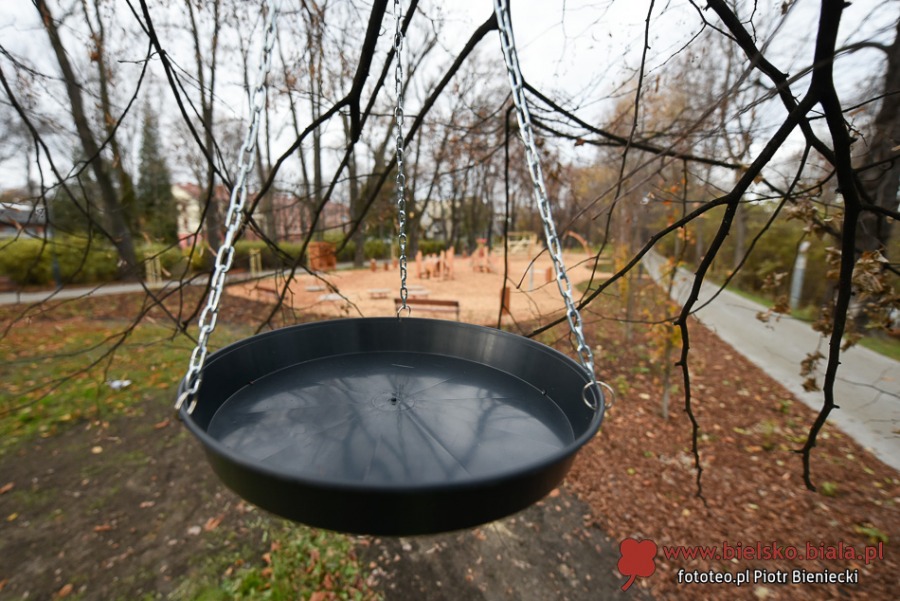 Park Włókniarzy otwarty po rewitalizacji. Duże zmiany na placu Mickiewicza ZDJĘCIA