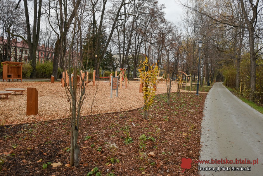 Park Włókniarzy otwarty po rewitalizacji. Duże zmiany na placu Mickiewicza ZDJĘCIA