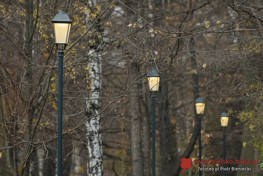 Park Włókniarzy otwarty po rewitalizacji. Duże zmiany na placu Mickiewicza ZDJĘCIA
