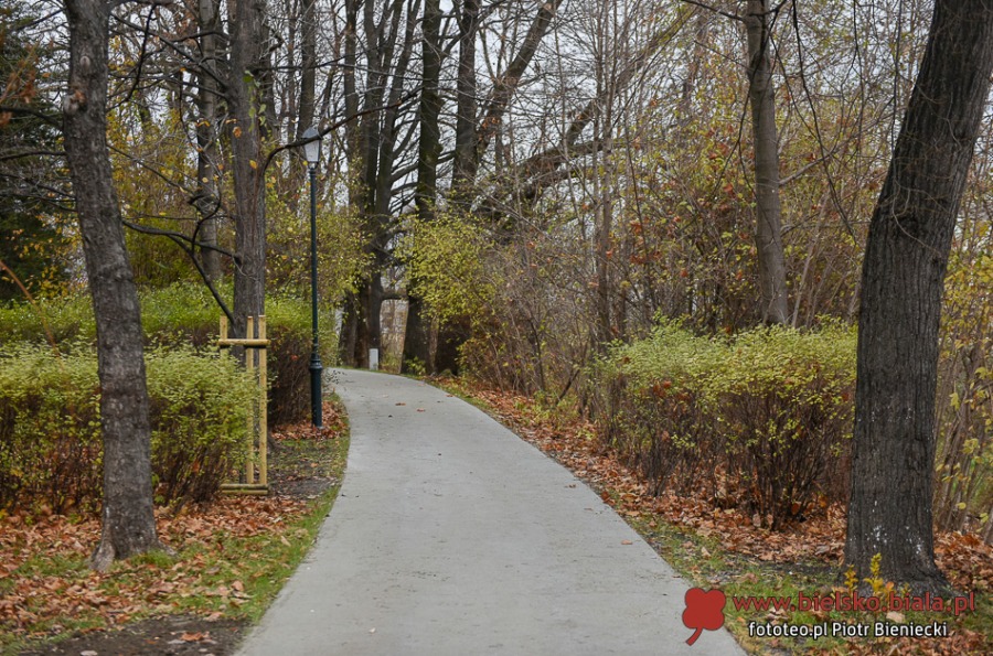 Park Włókniarzy otwarty po rewitalizacji. Duże zmiany na placu Mickiewicza ZDJĘCIA
