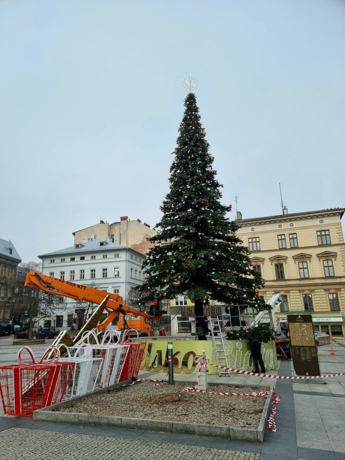 Wielka choinka już stoi na placu Chrobrego! Jest taka piękna, jak w zeszłym roku ZDJĘCIA