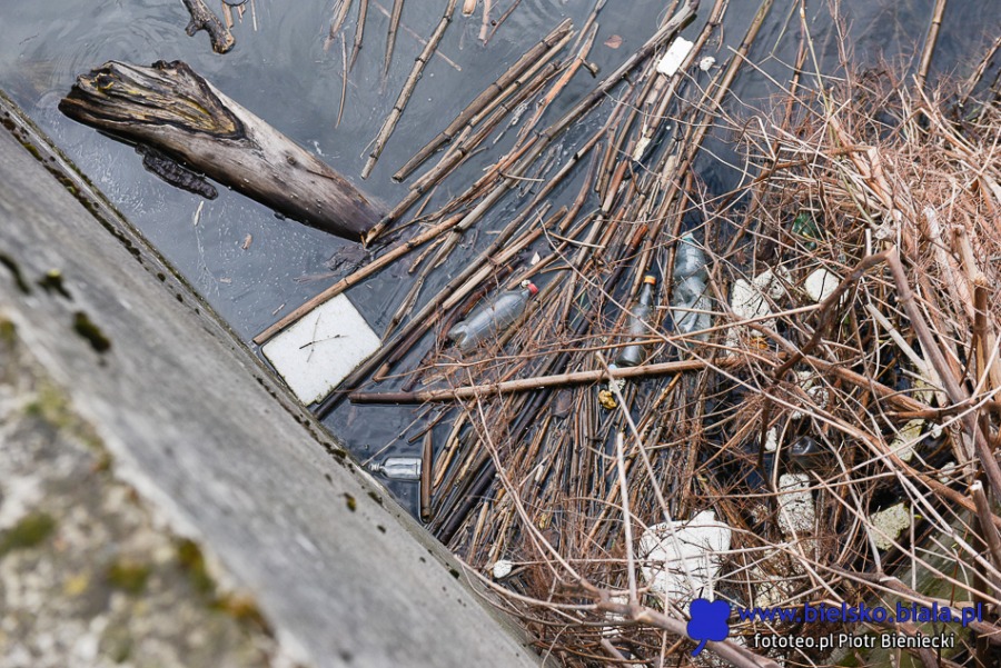 W czynie społecznym zebrali ponad tonę śmieci. Z rzeki wyciągano różne „skarby”