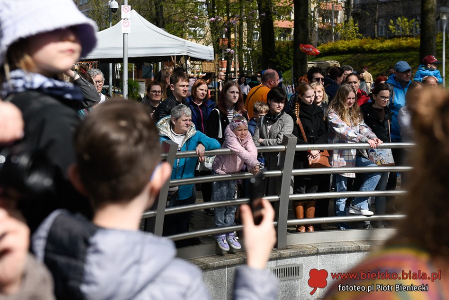Turnieje walk, średniowieczna kuchnia i dmuchańce. Tu nikt się nie nudził