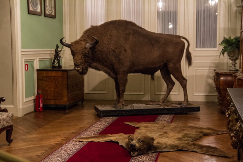 Tłumy na "Nocy w Muzeach"