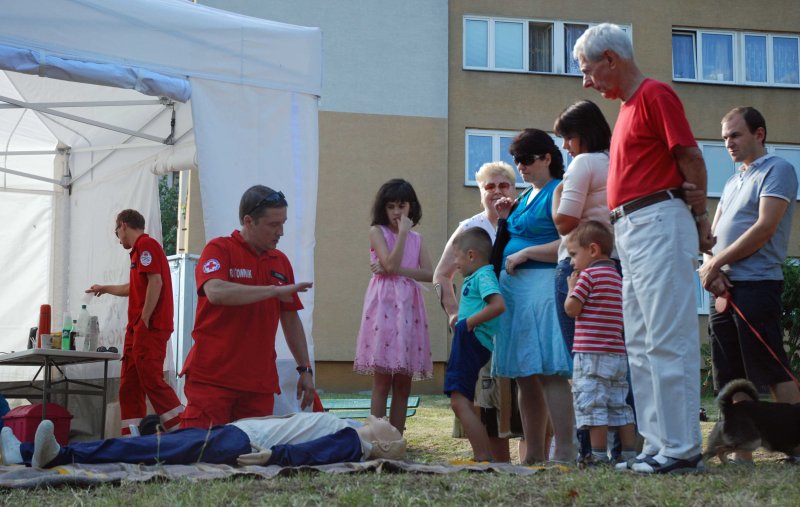 Festyn na zdrowie